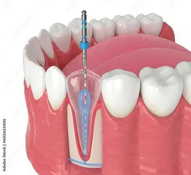 dentist near me